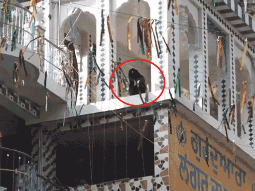 पंजाब के निहंगों का गुरुद्वारे पर कब्जा बरकरार:  बोले- सेवादार सिर खोल अंडरवियर में घूम रहे, इसलिए पीटा; संचालक ने कहा- ये कब्जे के लिए ही आए – Ludhiana News
