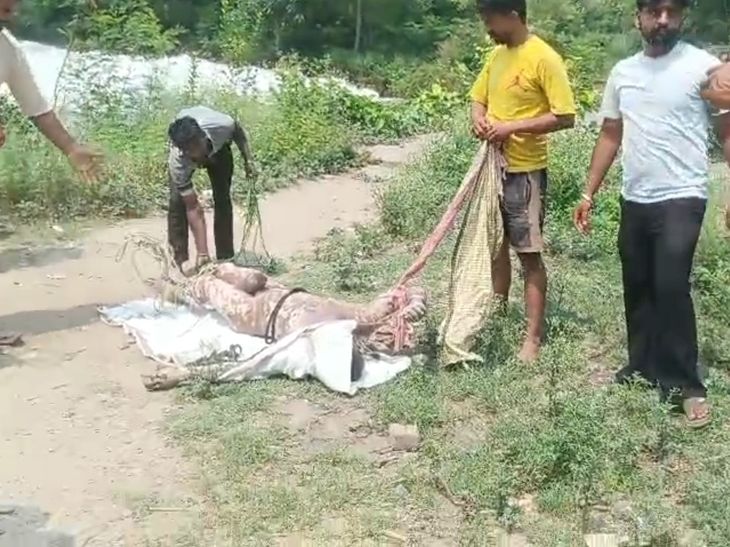 पठानकोट नहर में मिला अज्ञात शव:  5 से 7 दिन पुराना होने से पहचान मुश्किल, नहाते समय हादसे की आशंका, शिनाख्त के लिए प्रयास जारी – Pathankot News