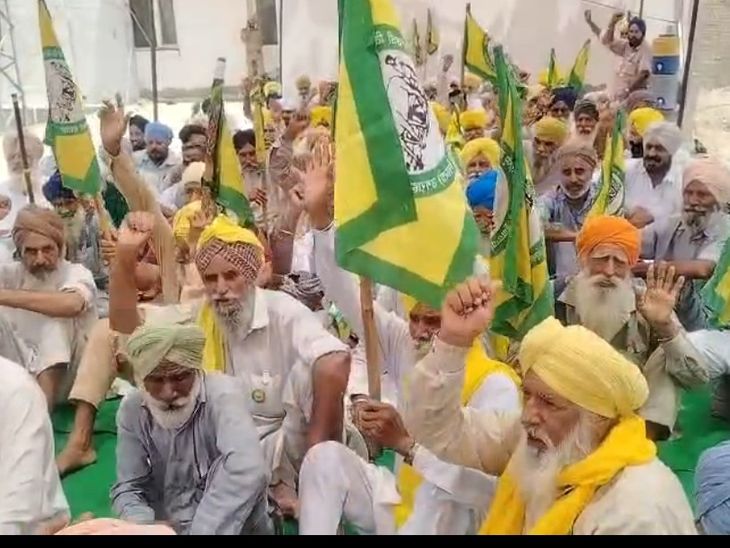 बिजली कटौती से परेशान किसानों का प्रदर्शन:  मानसा, बुढलाडा और सरदूलगढ़ में पावरकॉम दफ्तरों के बाहर धरना – Mansa News