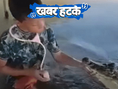 खबर हटके- मगरमच्छ के साथ बच्चे ने खेला डॉक्टर-डॉक्टर:  जहरीली चींटी से कटवाकर साबित होती है मर्दानगी; रेस्टोरेंट में कमोड में सर्व हो रहा खाना