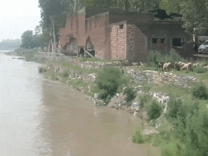 पठानकोट-गुरदासपुर के लोगों पर फिर बाढ़ का खतरा:  रावी में बढ़ा जलस्तर, मिट्टी की बोरियां गली, पंटून पुल बहा; ग्रामीणों की चेतावनी – Pathankot News