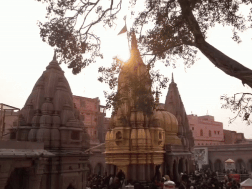 काशी विश्वनाथ धाम में सावन की महाकुंभ जैसी तैयारी; VIP दर्शन पर रोक, 5 मार्गों से प्रवेश
