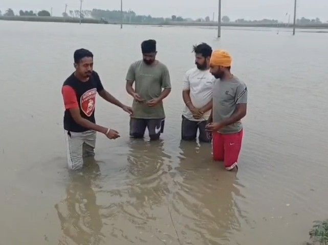 फतेहगढ़ साहिब में रजवाहा ओवरफ्लो, फसल बर्बाद:  लाखों के नुकसान का दावा, किसानों ने की मुआवजे की मांग – Khanna News