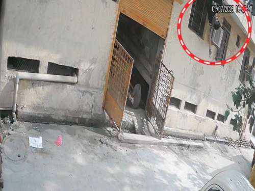 मथुरा में बंदर के झपट्टे से 13 साल की बच्ची की मौत; CCTV फुटेज सामने