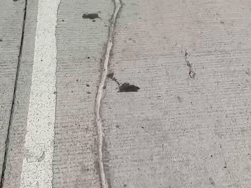 बख्तियारपुर-रजौली NH-20 की खराब गुणवत्ता; 6 मौतें; DM ने दिए जांच के आदेश