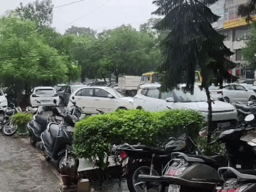जालंधर में बारिश के बादला मौसम बदला:  भारी उमस से राहत, 9 जुलाई तक आंधी-तूफान और बिजली गिरने का अलर्ट – Jalandhar News