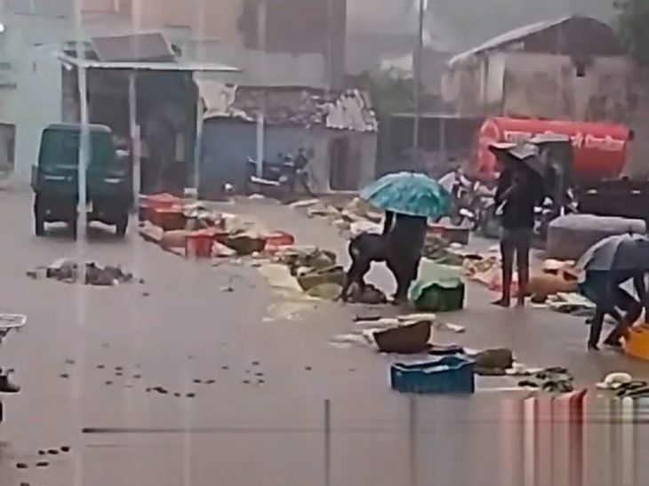 ललितपुर में भारी बारिश; सब्जी मंडी में बही सब्जियां, कई इलाकों में जलभराव