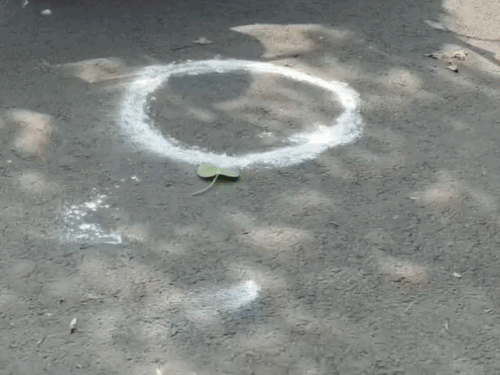 अमृतसर में कारोबारी पर फायरिंग करने वाले दोनों शूटर गिरफ्तार:  पुलिस मुठभेड़ में एक आरोपी के पैर में लगी गोली – Amritsar News