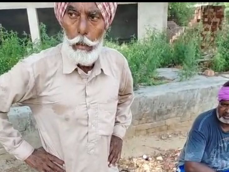 मोगा में आवारा कुत्तों का हमला, एक की मौत:  खेत में काम करते समय अचानक झुंड का हमला, चार घायल, किसान ने भागकर बचाई जान – Moga News