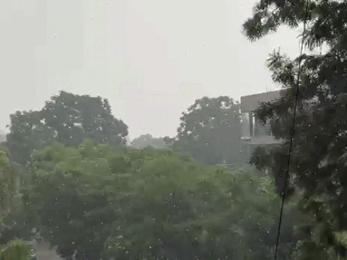 जालंधर में भीषण गर्मी से राहत:  झमाझम बारिश से तापमान में गिरावट, तापमान गिरा लेकिन बिजली की मांग बरकरार – Jalandhar News