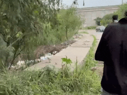 मोहाली में मोबाइल स्नैचर को चप्पलों से पीटा, VIDEO:  चाकू दिखाकर फोन छीनने की कोशिश, लोगों ने आरोपी को मौके पर दबोचा, 2 फरार – Kharar News