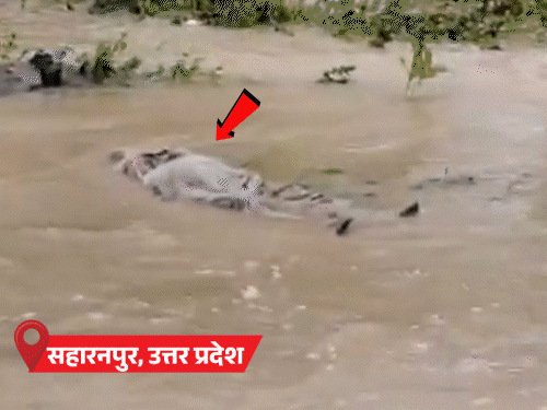 यूपी- सहारनपुर में बारिश से कब्रिस्तान से शव बाहर आए:  उत्तराखंड-हिमाचल में लैंडस्लाइड, 438 सड़कें बंद; सैटेलाइट इमेज में राजस्थान-गुजरात से बादल गायब
