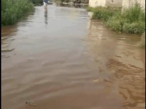 जालंधर के गदईपुर में नहर का बांध टूटा:  कॉलोनियों में भरा पानी, बारिश के अलर्ट के बीच दहशत, क्रेन से राहत कार्य जारी – Jalandhar News