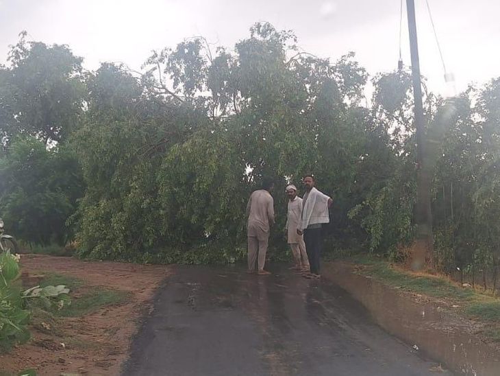 अबोहर में मलूकपुरा नहर में 60 फुट का कटाव:  आंधी बारिश से पेड़ टूट कर गिरा, 50 एकड़ फसल जलमग्न, किसानों ने मांगा मुआवजा – Abohar News