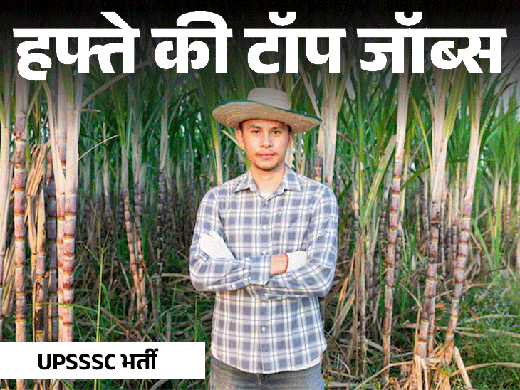 हफ्ते की टॉप जॉब्स:  पुलिस विभाग में 7437 पदों पर भर्ती, असिस्टेंट प्रोफेसर की 3687 वैकेंसी; इस हफ्ते निकलीं 13,737 नौकरियां