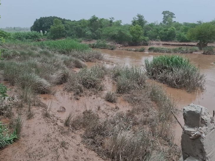 पटियाला में घग्गर का पानी 4 फीट से नीचे पहुंचा:  किसानों और ग्रामीणों ने ली राहत की सांस, बाढ़ का खतरा फिलहाल टला – Patiala News