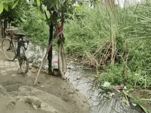 अमृतसर में छप्पड़ बना ग्रामीणों के लिए मुसीबत:  बदबू-मच्छरों से परेशान, बारिश में घरों तक पहुंच रहा दूषित पानी; MLA ने कार्रवाई का दिया भरोसा – Amritsar News