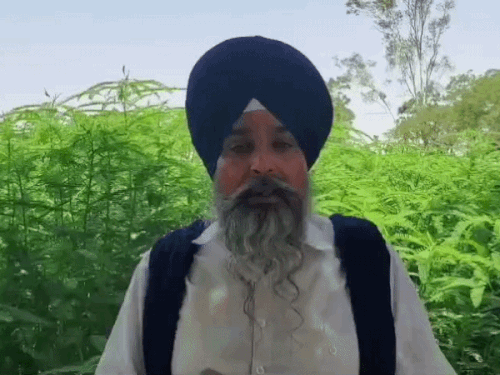 आज दिल्ली कूच करेंगे पंजाब के किसान:  कल किसान घाट पर भारत-अमेरिका व्यापार समझौते के खिलाफ महा रैली – Amritsar News