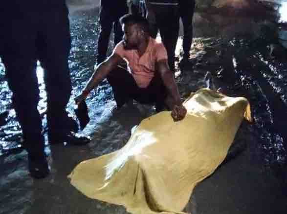 जालंधर में वाहन की टक्कर से PAP जवान की मौत:  जरूरी काम से जा रहे थे, 27वीं बटालियन में थे तैनात; आरोपी ड्राइवर की तलाश – Jalandhar News