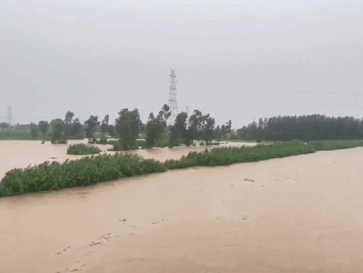 पठानकोट के जलालिया दरिया में उफान से सहमे लोग:  जलस्तर बढ़ते ही प्रशासन ने बंद किया पठानकोट-बामियाल मार्ग, BSF चौकियों व दर्जनों गांवों का संपर्क प्रभावित – Pathankot News
