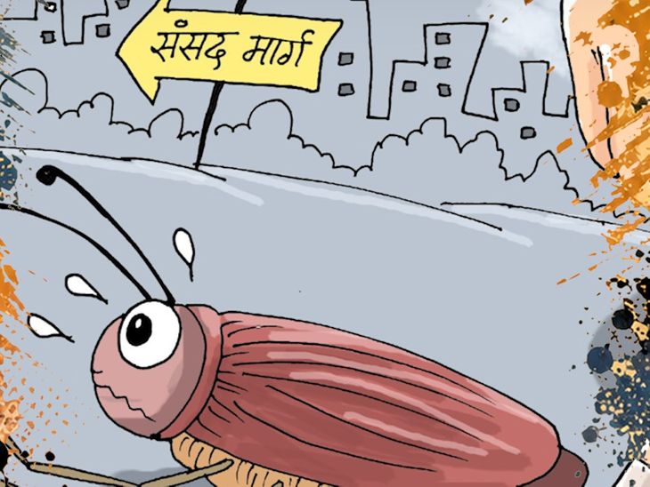 कार्टून में देखें CJP प्रोटेस्ट और सियासत:  दिल्ली के जंतर-मंतर पर चल रहे छात्र आंदोलन और इसके पीछे की सियासत को कार्टूनिस्ट ने कैसे देखा