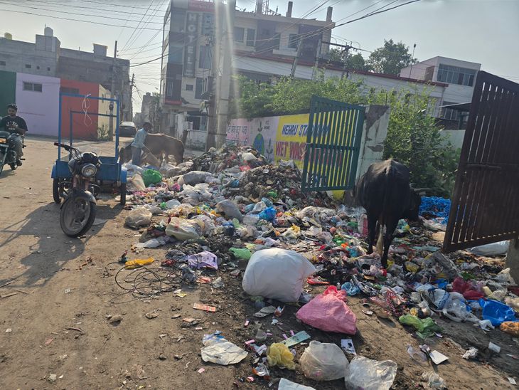 अबोहर में 18 दिन से सफाईकर्मी हड़ताल पर:  शहर में कूड़े का ढेर , 3 साल की सेवा पूरी करने वालों को पक्का करने की मांग – Abohar News