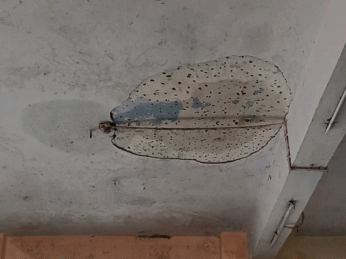 Abu Road Railway Station Plaster Collapse | Major Accident Averted