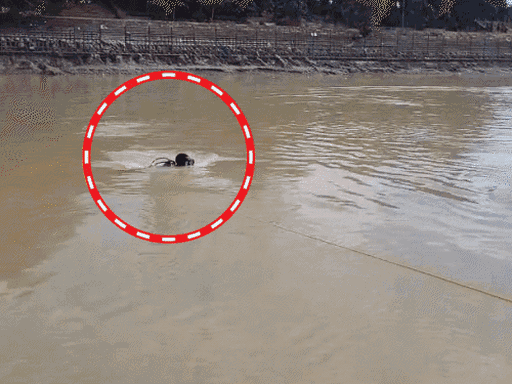 चंडीगढ़ से कांवड़ लेने हरिद्वार गए 4 दोस्तों की मौत:  नहर में नहाने उतरे, एक को बचाने के लिए तीन कूदे; तेज बहाव में बहे – Chandigarh News
