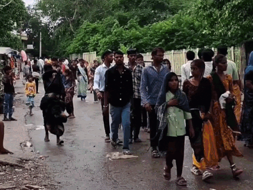 मौसम सुहावना हुआ, चित्तौड़गढ़ दुर्ग देखने पहुंचे लोग: गाड़ियों की एंट्री बंद रही तो पैदल चले, हरियाली और फु... - Dainik Bhaskar