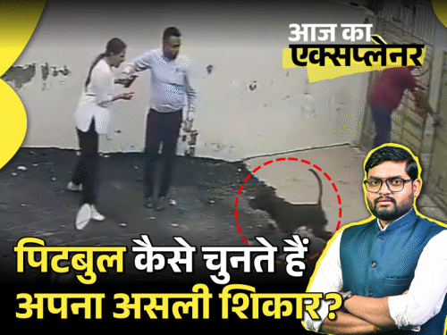 ಪಿಟ್ಬುಲ್ ದಾಳಿ: ಮಹಿಳೆಯನ್ನೇ ಏಕೆ ಗುರಿಯಾಗಿಸಿತು? ತಜ್ಞರ ವಿಶ್ಲೇಷಣೆ