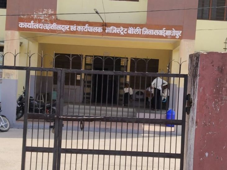 रश्मि शर्मा बौंली की नई तहसीलदार नियुक्त: दिनेश चंद मीणा का कोटखावदा तबादला हुआ, राजस्व संबंधी कार्यों में ... - Dainik Bhaskar