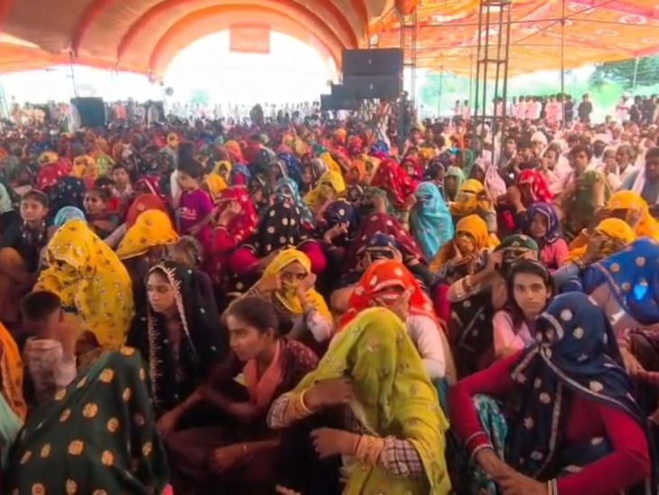 धौलपुर-करौली टाइगर रिजर्व के विरोध में धरना जारी: ग्रामीणों ने कहा- रोजगार प्रभावित होगा, हक की लड़ाई लड़ेंगे - Dainik Bhaskar