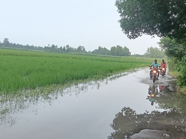 Bareilly: Waterlogging on Sharda Sagar Canal Road Disrupts Traffic, Risks Infrastructure Damage