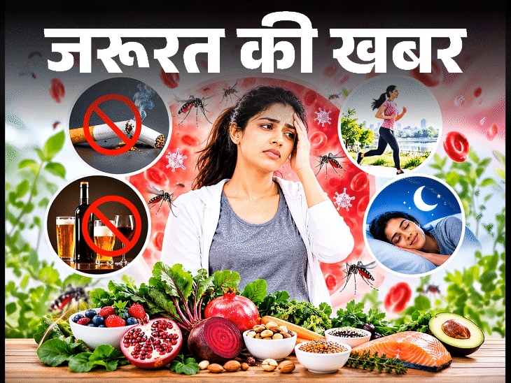 डेंगू में प्लेटलेट्स गिरने पर क्या खाएं, डॉक्टर से समझें