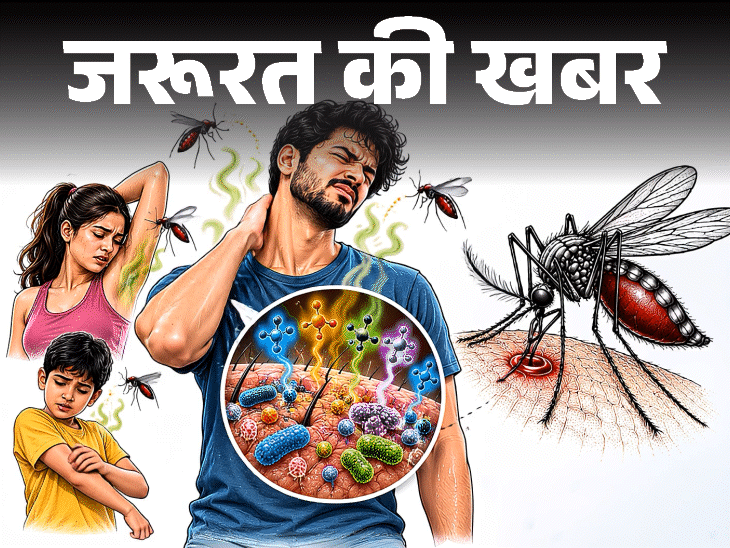 मच्छर कुछ लोगों को ही क्यों काटते हैं, वैज्ञानिक अध्ययन में खुलासा