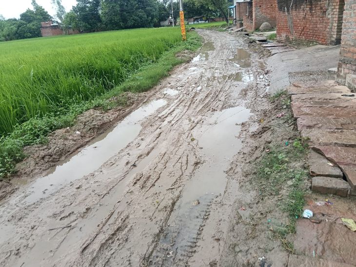 Ranipur Youth Runs 35KM to Meet MP Rajiv Rai Over Poor Road Condition