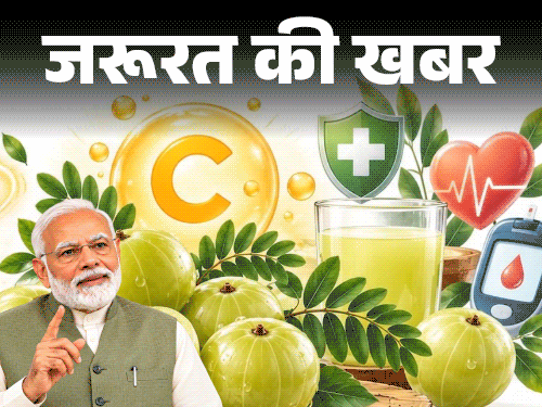 पीएम मोदी ने 'मन की बात' में आंवले के गुण बताए, डाइटीशियन ने सही सेवन विधि समझाई
