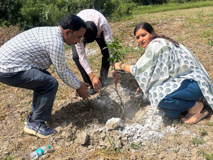 Ghaziabad CDO Inspection | Kavinagar Nursery & Seedling Chamber Visit