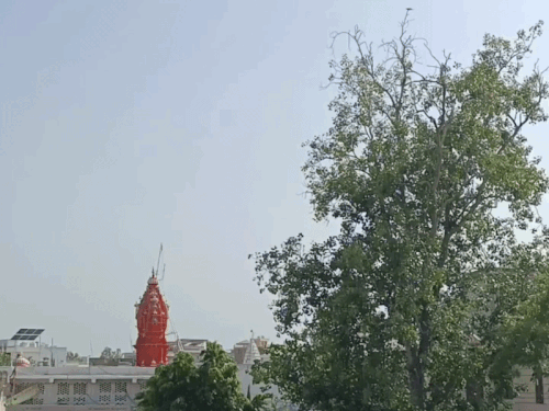 सीकर में 2 दिन मौसम ड्राई रहेगा: दिन-रात के पारे में अंतर बढ़ा, न्यूनतम तापमान 21 डिग्री दर्ज - Dainik Bhaskar