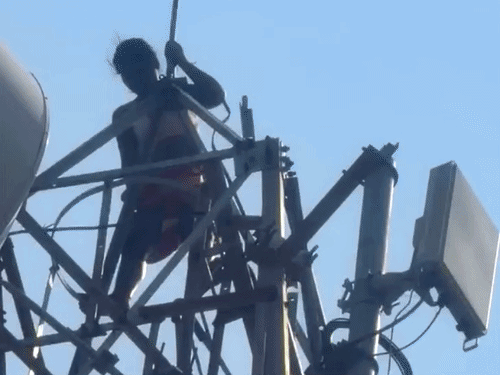 Bilaspur Takhatpur News | Mentally Unstable Woman Climbs Mobile Tower VIDEO