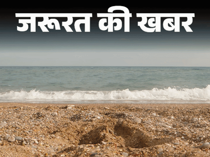 कीवी: पाचन और ब्लड शुगर के लिए फायदेमंद, जानें किन्हें सावधानी चाहिए