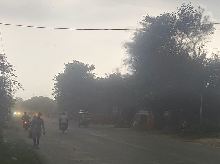 Dust Storm Alert | Low Visibility Impacts Traffic & Tree Fall Risk