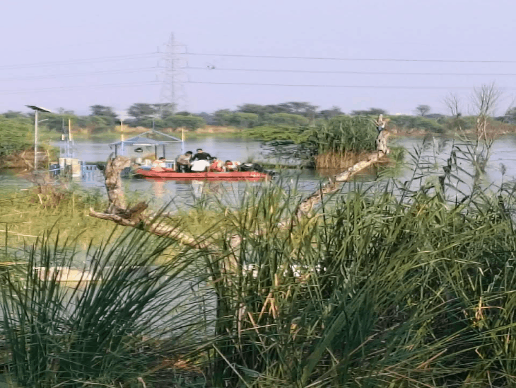Dharuhera Missing Driver Case | SDRF Search Operation At Sahibi Barrage