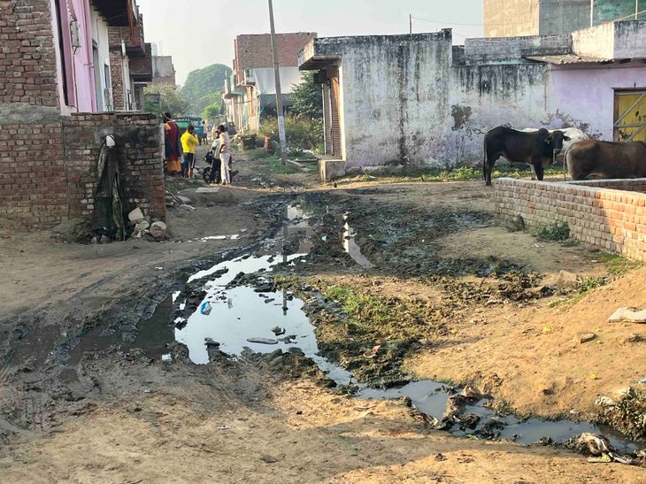 Meera Vihar Colony Waterlogging & Mud Issues | Residents Face Problems
