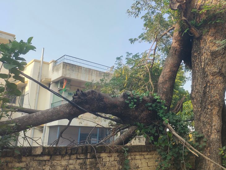 Prayagraj Meja Power Supply Crisis | Damaged Electric Pole Tree Branch ...