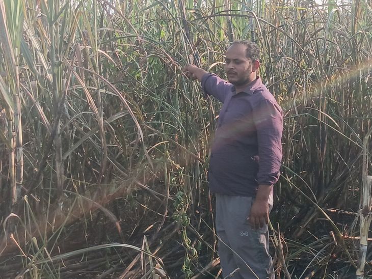Sambhal Sugarcane Farm Fire | High Tension Wire Accident Damages Crops