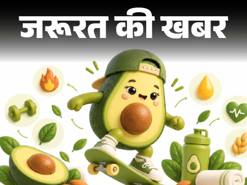 जरूरत की खबर- एवाकाडो के 12 हेल्थ बेनिफिट्स: हेल्दी फैट–फाइबर से भरपूर, जानें खाने का सही तरीका, खरीदते समय...