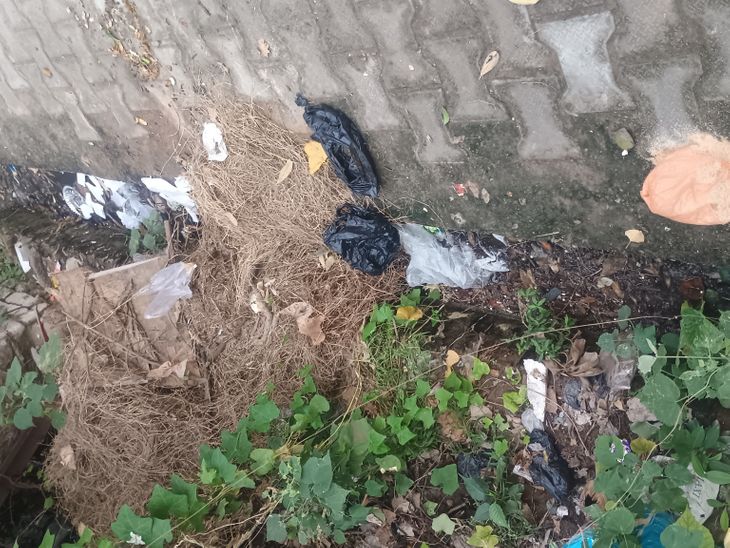 New Friends Colony Garbage Crisis | Residents Face Health Risk & Stench