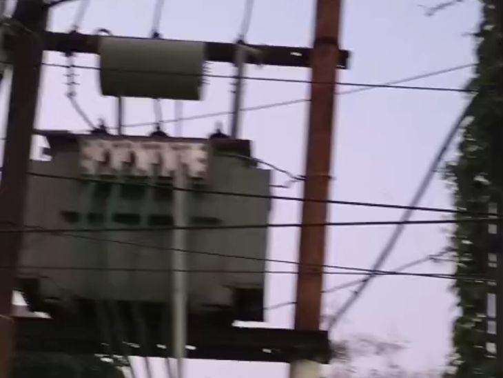 Kareli Prayagraj: Transformer Covered by Tree Branches Causes Faults