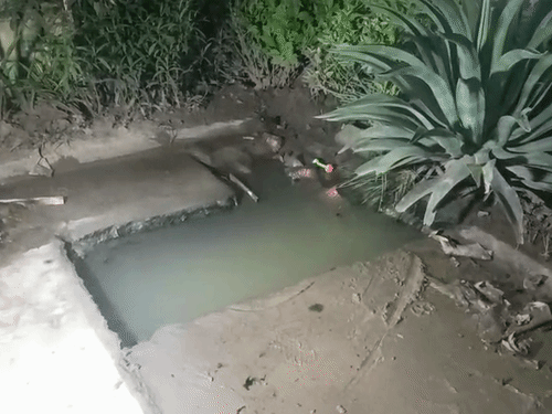 Kanpur Accident | Toddler Dies After Falling Into Washing Center Tank